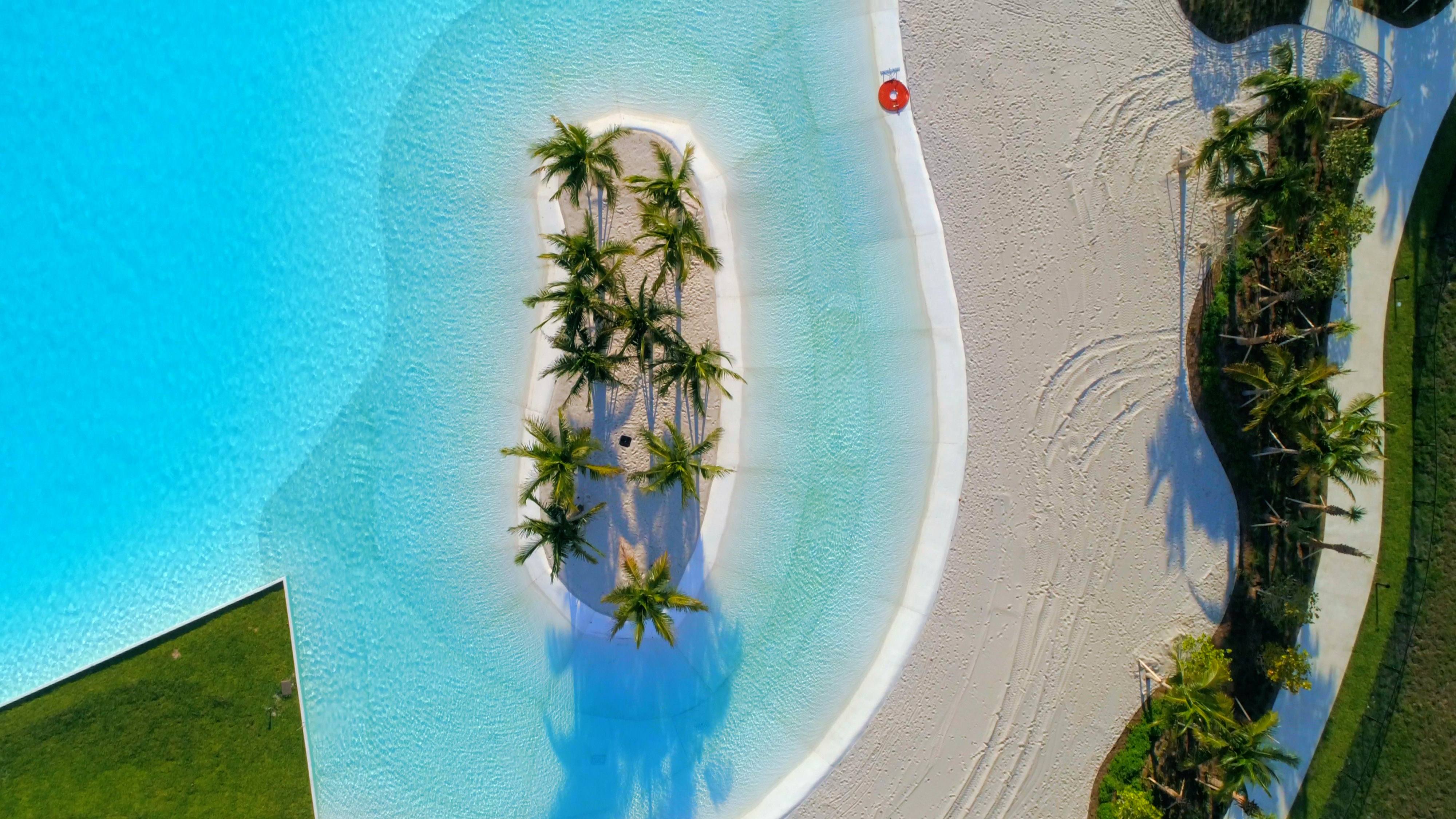 A small island with a palm tree in the middle of a pool.